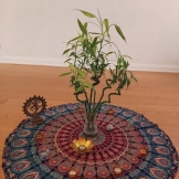 Tantrischer Begegnungstag